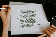 Amiable Forsythia Font, a Script Font by Letterhanna Studio (Thumbnail 12 of 19)