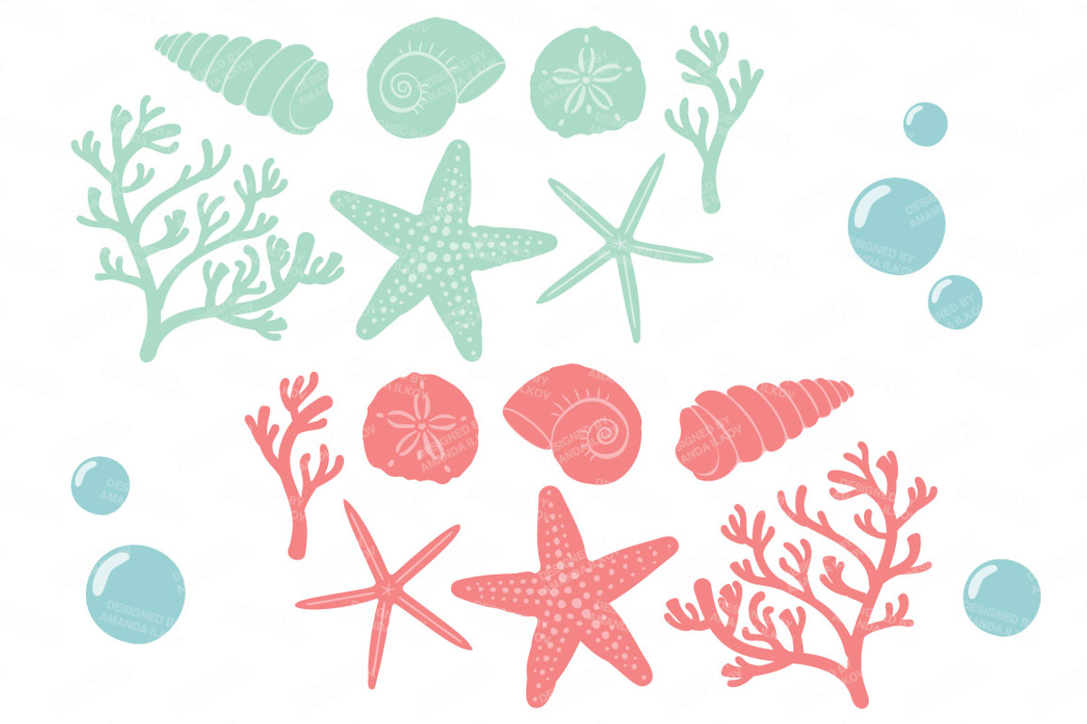 Modern Chic Vector Seashells, an Illustration by Amanda Ilkov (Photo 5 of 5)