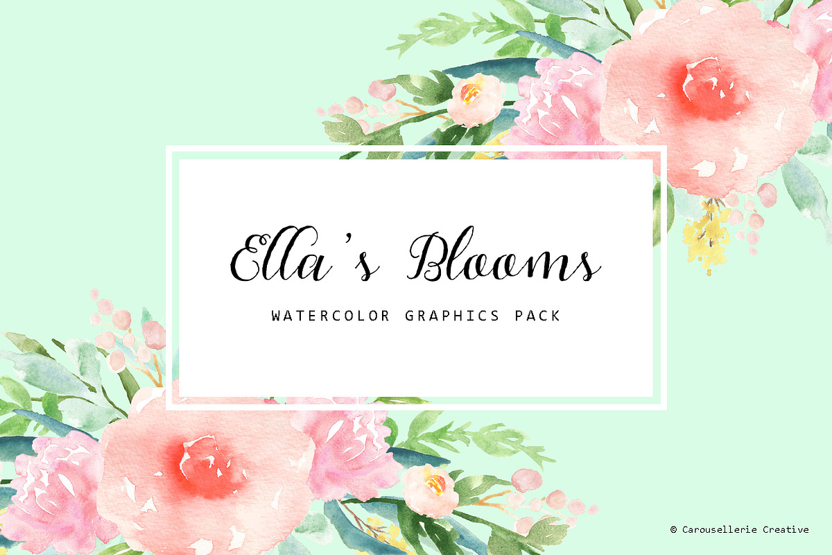 Ella's Blooms - Watercolor Flowers, an Illustration by Carousellerie Creative (Photo 1 of 4)