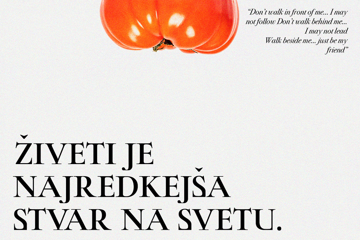 ZT Chablis - Classic serif, a Serif Font by zelow type (Photo 13 of 15)