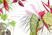 Blómstra, Luxury Spring 2021 Prints!, a Pattern Graphic by Pink Linen (Thumbnail 3 of 14)