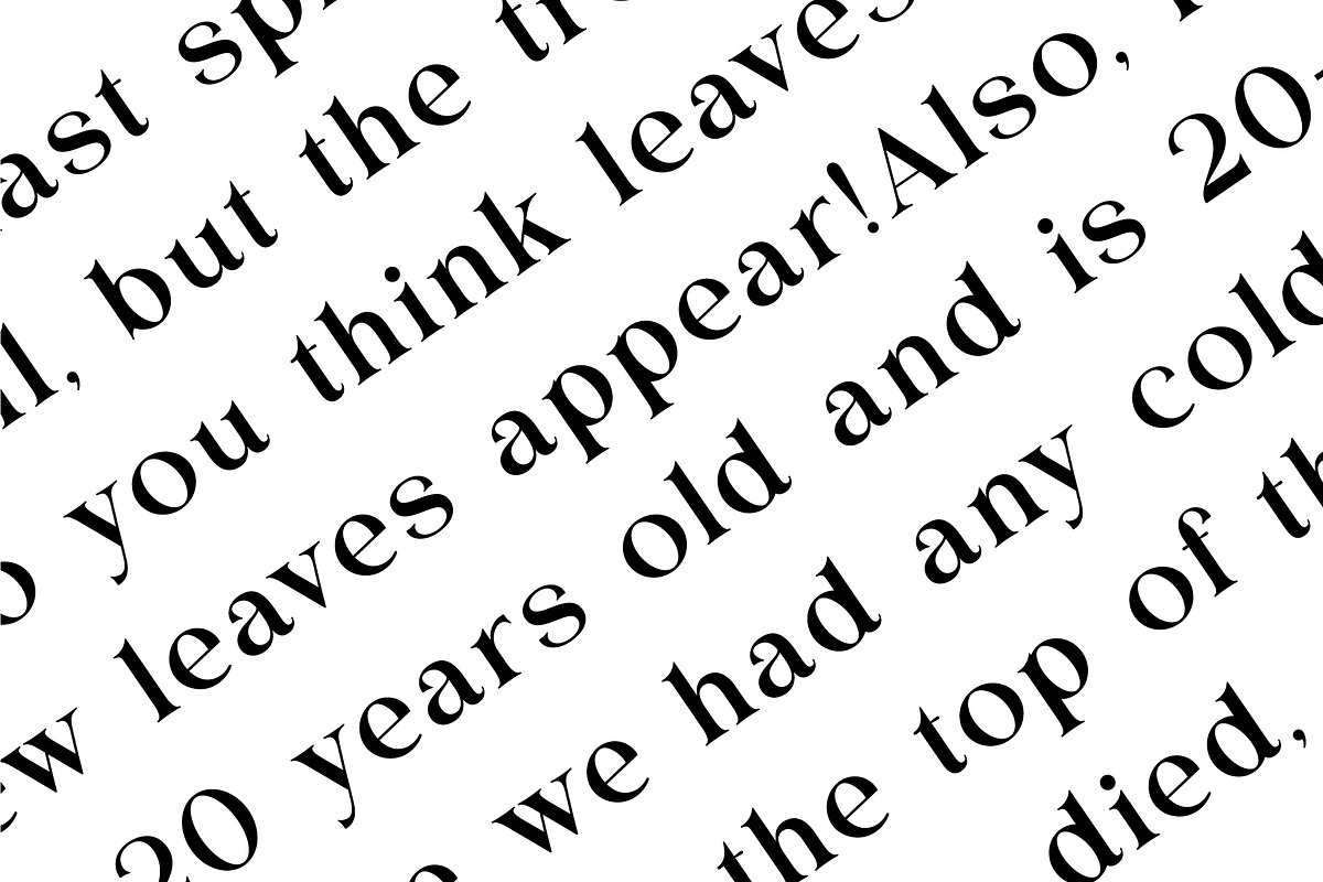 Hanoble - Modern Ligature Serif, a Serif Font by Vesvocrea (Photo 12 of 13)