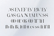 Gasley - Modern Serif Font, a Serif Font by Aqeel_Art (Thumbnail 11 of 12)