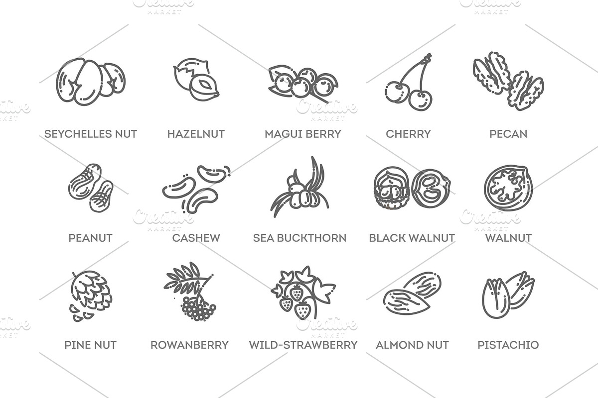 Nuts and Berries icons, a Food Illustration by Tettygreen (Photo 3 of 3)
