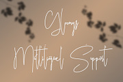 Ameriondela Luxury Classy Font, a Script Font by Maulana Creative (Thumbnail 3 of 11)
