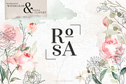RoSA - Floral Clipart, an Illustration by The Autumn Rabbit Ltd (Thumbnail 1 of 14)