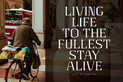 Gaines Display Serif Font, a Serif Font by Storytype Studio (Thumbnail 2 of 15)