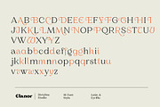 Elanor - Retro Font Classy Elegant, a Serif Font by Dirtyline Studio (Thumbnail 16 of 17)