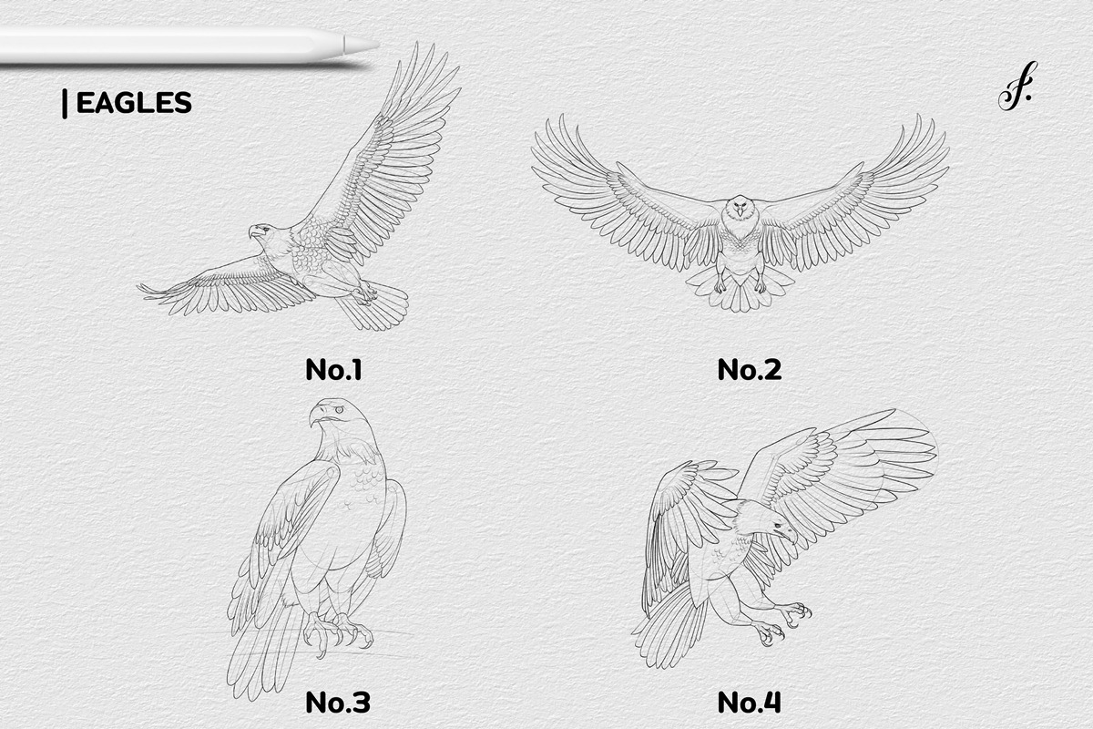 Bird Procreate Brush, a Brush Add-On by Freya.art Illustrations (Photo 4 of 9)