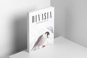 Devasia Sans Serif Font Family Pack, a Sans Serif Font by Creativetacos (Thumbnail 5 of 7)