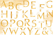 Floral alphabet - ALICE, a Script Font by AS Studio (Thumbnail 6 of 6)