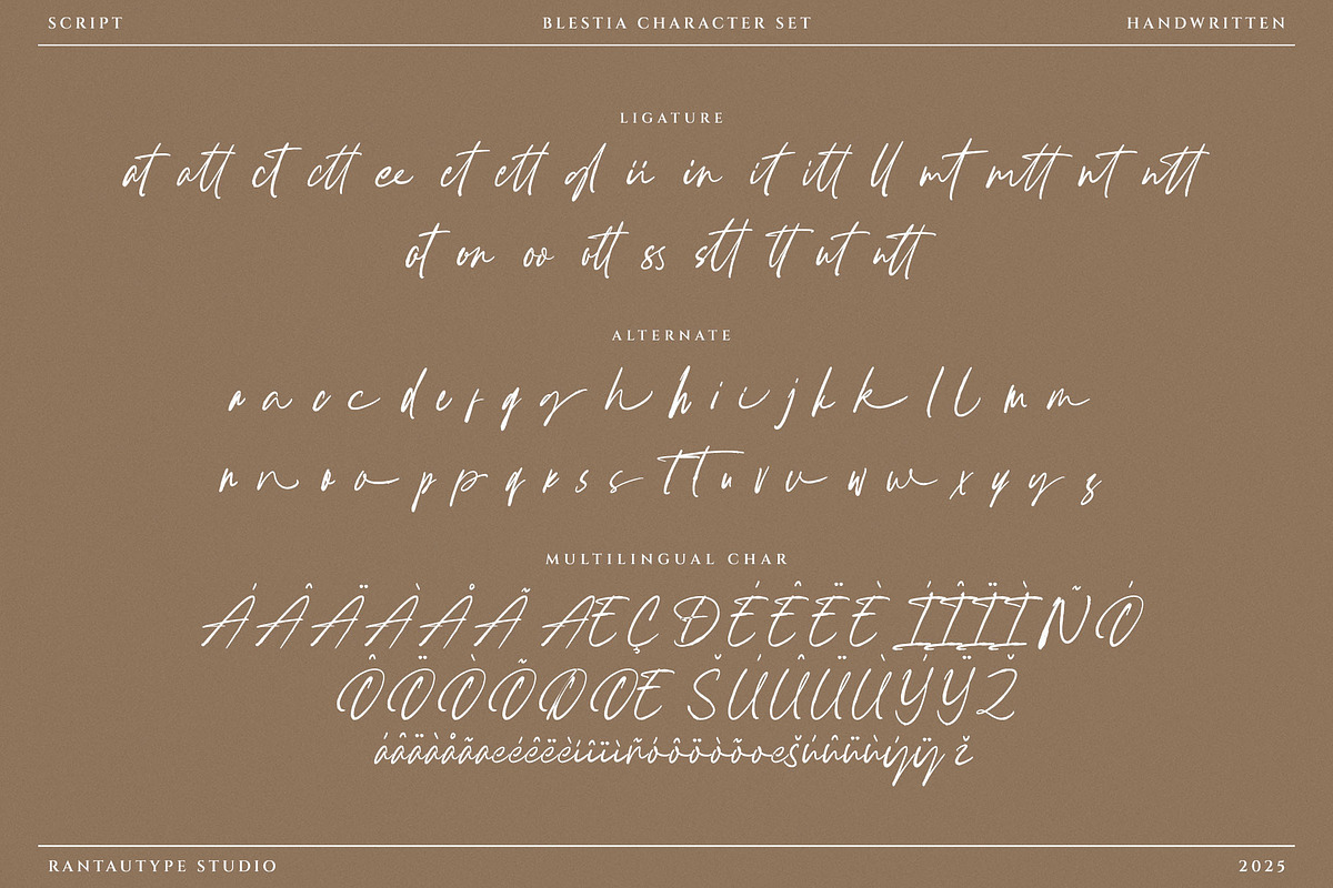 Blestiya Handwritten Script Font, a Handwritten Font by RantautypeStudio (Photo 17 of 17)