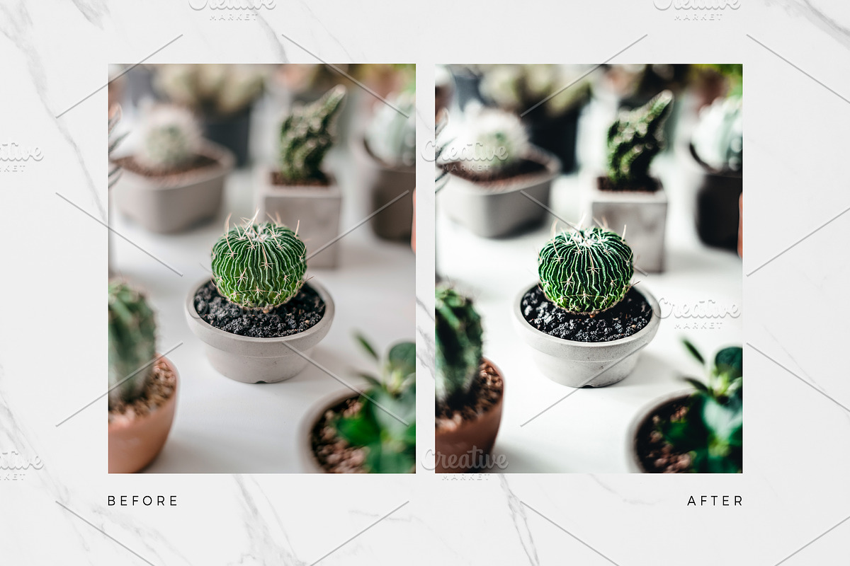 10 Botanical Lightroom Presets preview 4