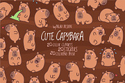 Capybara Emotions Clipart, an Animal Illustration by Palau (Thumbnail 1 of 10)