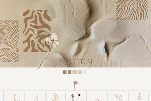 Neutral Abstract Background Cut Outs