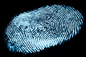 Detailed fingerprint illuminated in, a Business Photo by MistyDay