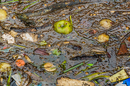 River with garbage and food, an Industrial Photo by DanFLCreativo