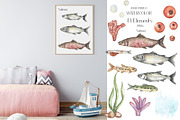 Life Cycle Watercolor Collection, an Education Illustration by MayaNavits (Thumbnail 6 of 12)