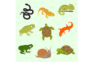 icons set reptiles and amphibian, an Animal Illustration by studiogstock