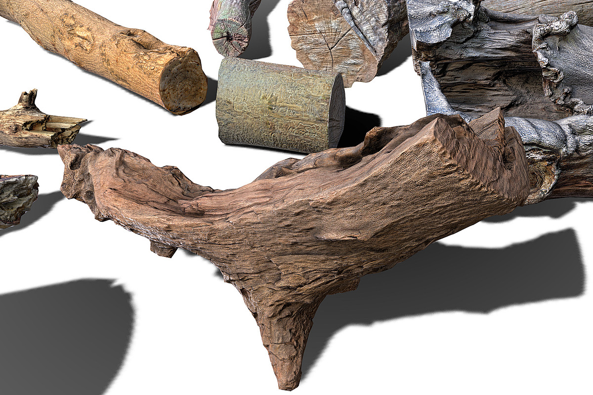 13 Tree Logs, an Environmental 3D Model by Beatheart Creative Studio (Photo 19 of 37)