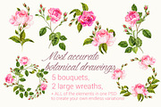 Vintage Rose Set, an Illustration by RosaPompelmo (Thumbnail 2 of 4)