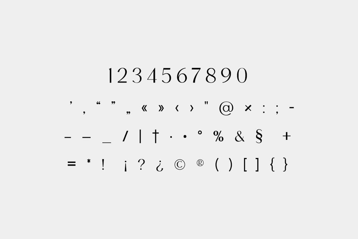 Missionary Elegant Serif Family Font, a Serif Font by UICreative (Photo 12 of 13)