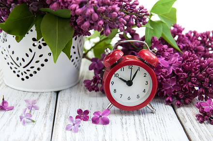 Lilac flowers with alarm clock containing lilac, morning, and good, a Nature Photo by Olena Rudo