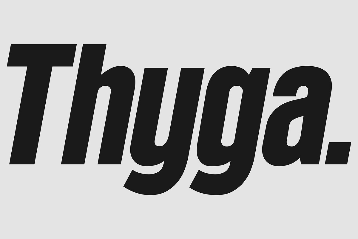 Thyga | Modern Sans Serif Fonts, a Sans Serif Font by Fateh.Lab (Photo 1 of 11)