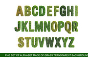 PNG Alphabet made from green grass., an Object Graphic by SketchArtStudio (Thumbnail 2 of 3)