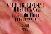 Dravik | Minimal Sans Serif Font, a Sans Serif Font by Artdez (Thumbnail 3 of 3)
