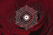 18 Wedding Logos and Badges, a Branding & Logo Template by Vasya Kobelev (Thumbnail 15 of 15)