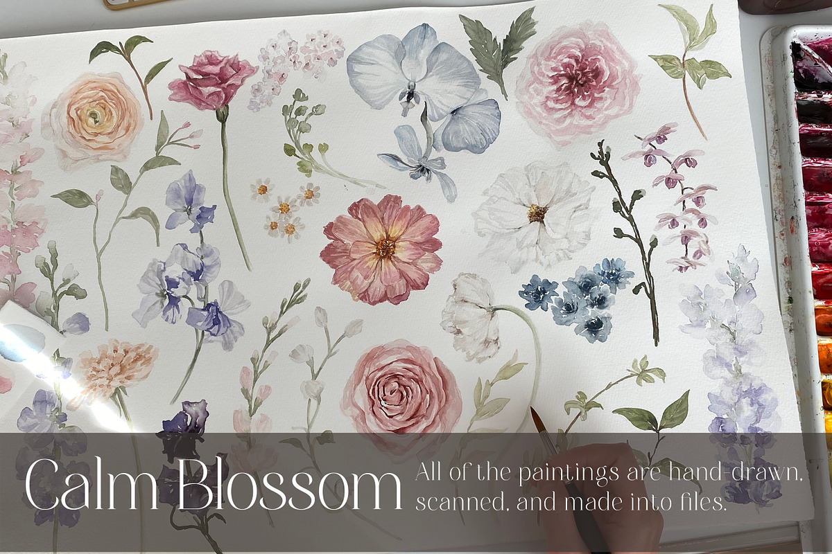 Watercolor Flower - Calm Blossom, a Decorative Illustration by Beigetime (Photo 16 of 16)