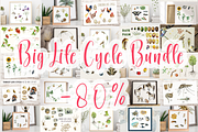 Big Life Cycle Bundle, an Education Illustration by Tati Bordiu (Thumbnail 1 of 43)