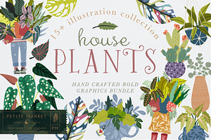 House Plant Illustration Clipart