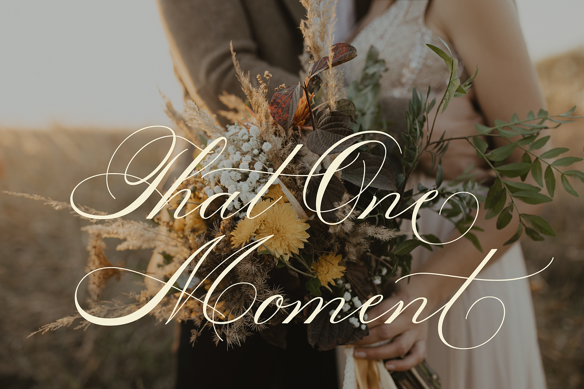 Sofia Script, a Script Font by Creative Foundry (Photo 4 of 9)