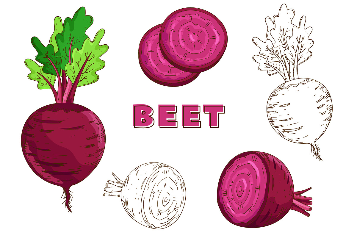 Vegetables in the Vintage Style, a Healthcare Illustration by Alfazet Chronicles (Photo 2 of 15)