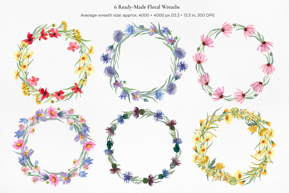 Wildflower Watercolor Collection, a Decorative Illustration by Anna Druzhkova (Photo 5 of 23)