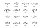 Marine and Ocean Fish Types, an Outline Icon by Tettygreen (Thumbnail 2 of 2)
