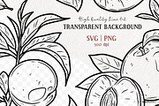 Peach SVG Clipart Fruit Set, a Food Illustration by MadliArt (Thumbnail 2 of 4)