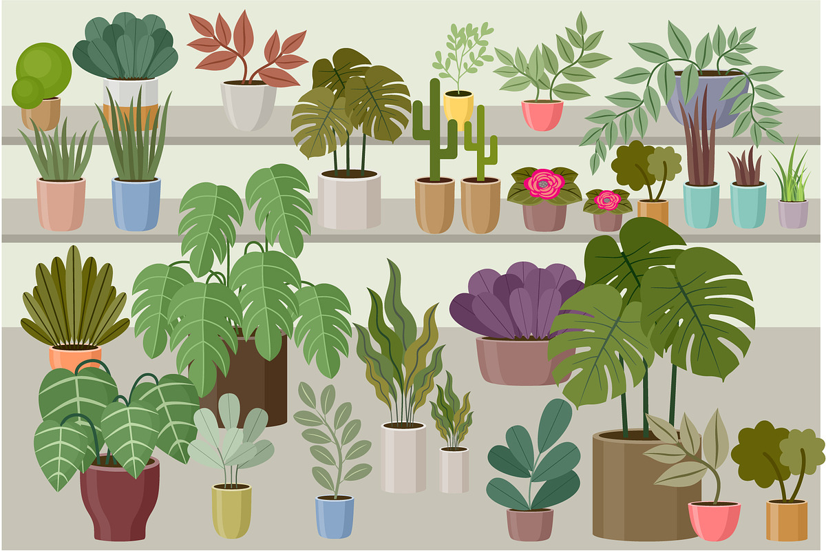 Flower and Home Plant Store, a Decorative Illustration by Gurza SHOP (Photo 4 of 8)