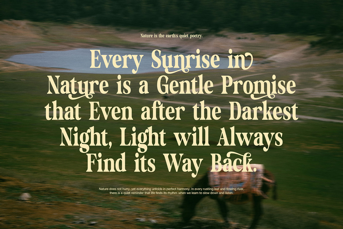 Hibrida Bold Serif Font, a Serif Font by Perfectype (Photo 4 of 8)