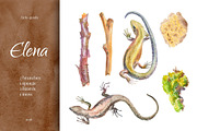 Elena. 26 Watercolor Elements Set, an Illustration by morskoe (Thumbnail 3 of 3)