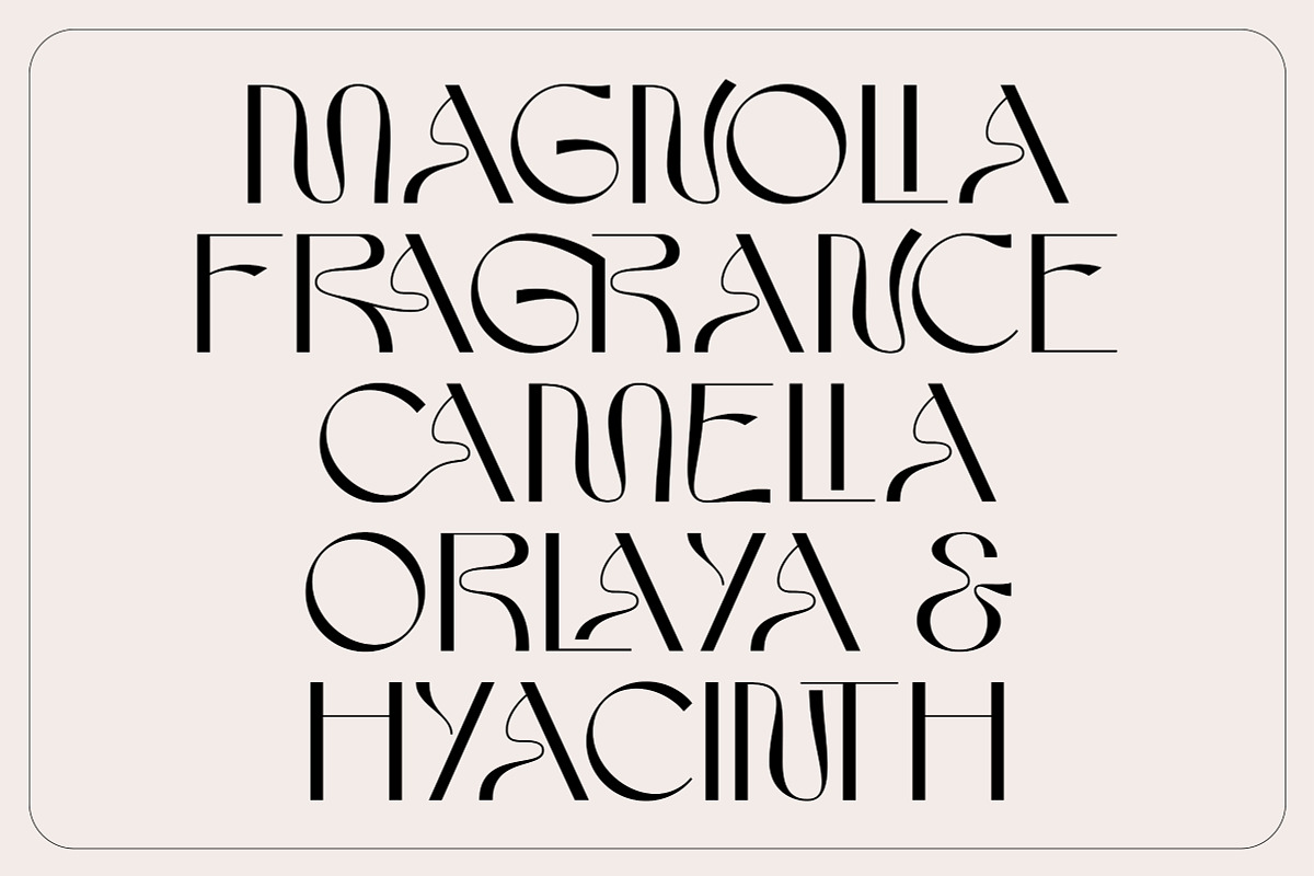 Kaldera - Modern Sans Serif Display, a Font by Surplus Type Co (Photo 9 of 11)