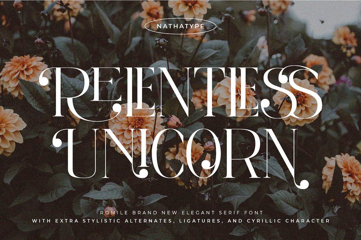 Romile, a Serif Font by Nathatype (Photo 6 of 12)
