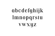 Vexford Quantum Serif Family Font, a Serif Font by UICreative (Thumbnail 5 of 13)