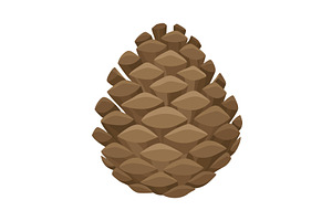 Fir or pine cone. Nature decoration, an Object Illustration by the8monkey