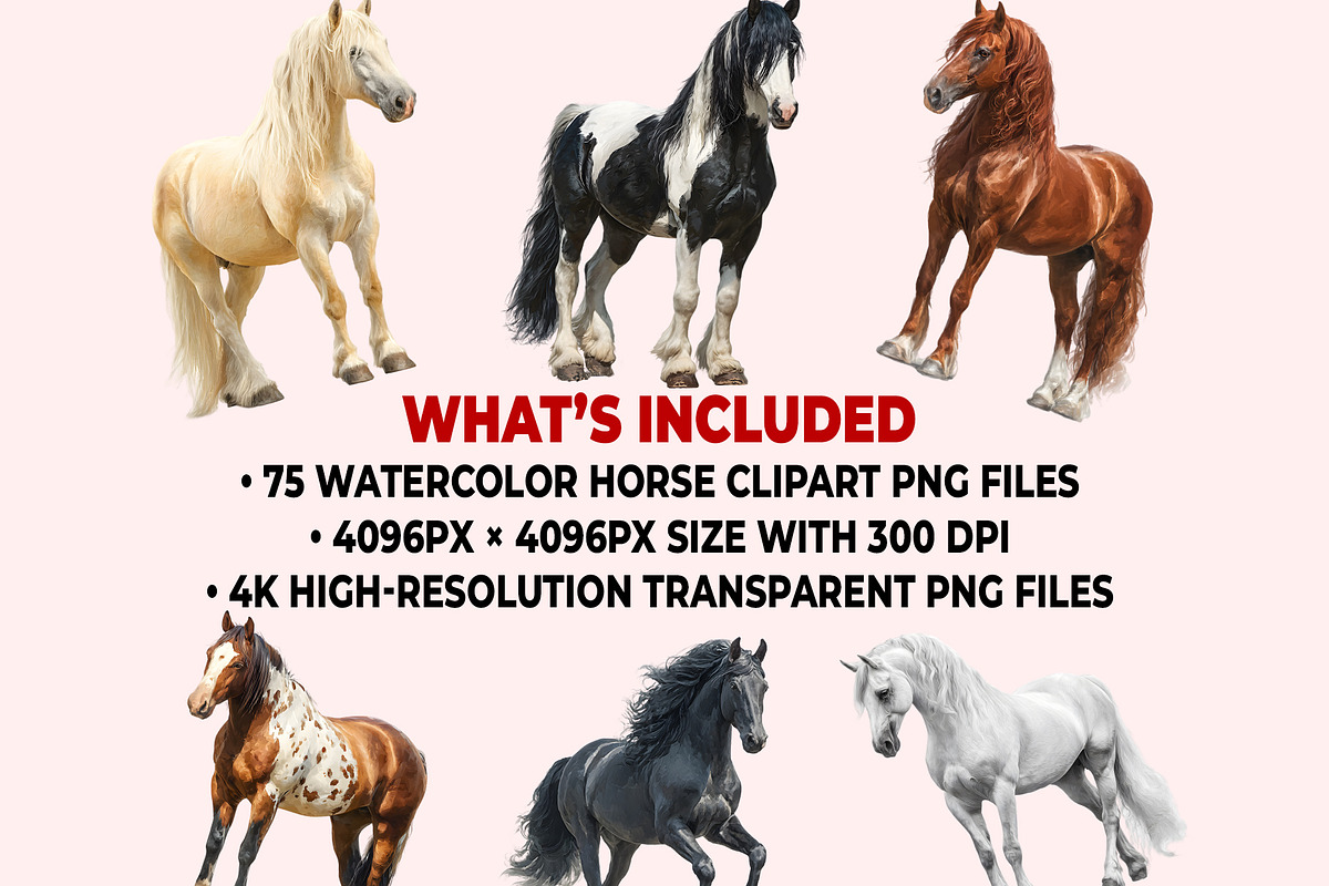 Horse Clipart PNG Bundle, a Graphic by M9 Design (Photo 11 of 11)