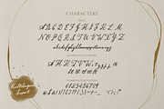 Aviola Memories - Romantic Script, a Script Font by Letterhend Studio (Thumbnail 5 of 9)