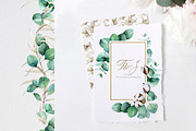 Eucalyptus and cotton, an Illustration by made by Tanya (Thumbnail 5 of 7)