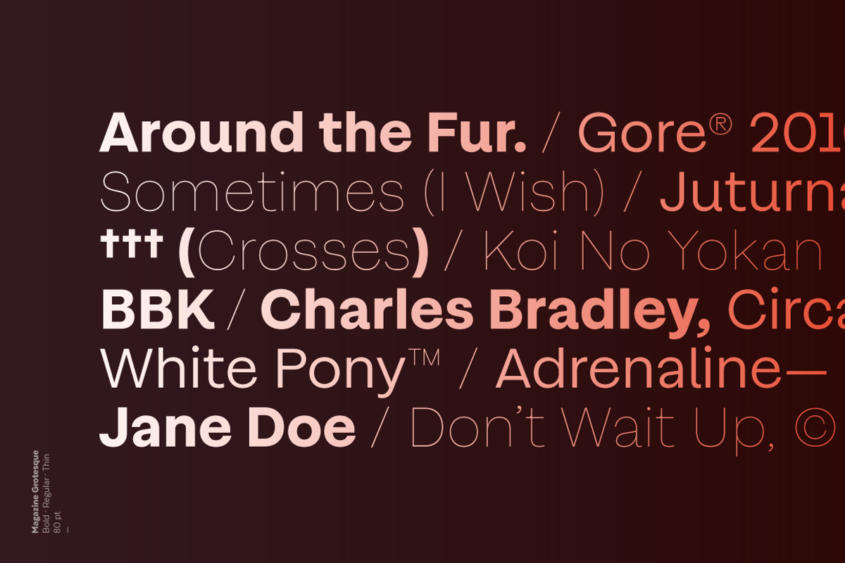Magazine Grotesque, a Sans Serif Font by Latinotype (Photo 9 of 15)